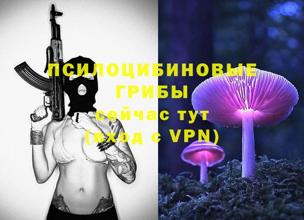 ПСИЛОЦИБИНОВЫЕ ГРИБЫ Алзамай