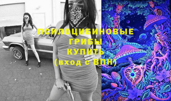 бошки Алексин
