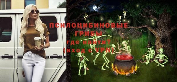 бошки Алексин