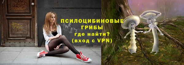 ПСИЛОЦИБИНОВЫЕ ГРИБЫ Алзамай