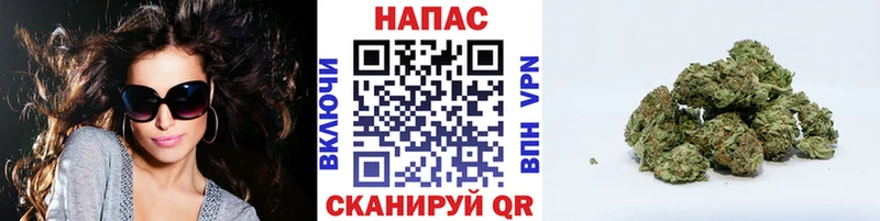 Бошки Шишки Amnesia  Осташков 